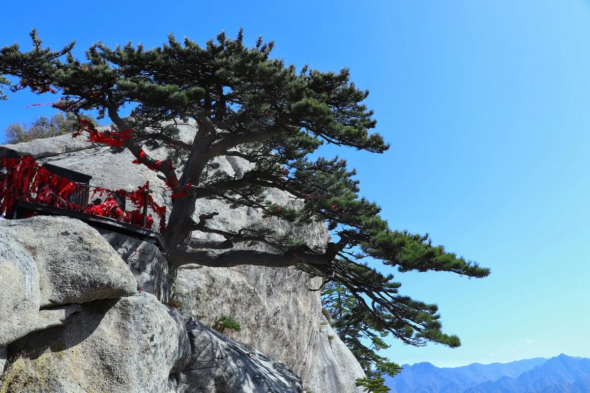 Adrenaline Peaks