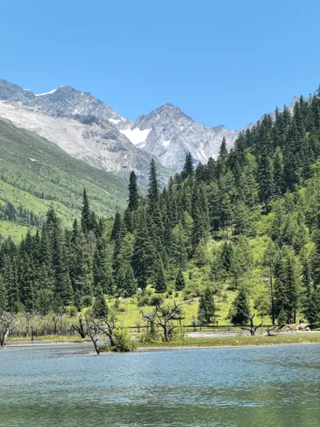 Best Chinese Mountains for Hiking: 2026